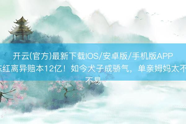 开云(官方)最新下载IOS/安卓版/手机版APP 陈红离异赔本12亿！如今犬子成骄气，单亲姆妈太不易