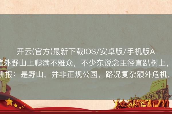 开云(官方)最新下载IOS/安卓版/手机版APP 王心凌演唱会,场馆外野山上爬满不雅众,不少东说念主径直趴树上,当地酬报:是野山,并非正规公园,路况复杂额外危机,十足没猜度会有东说念主爬上去