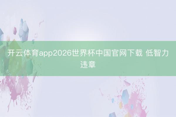 开云体育app2026世界杯中国官网下载 低智力违章
